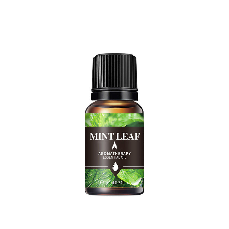 Mint Leaf Aroma Oil - Lavaland